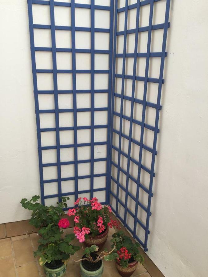 Apartamento Balneario Playa Caleta Cadiz Luaran gambar